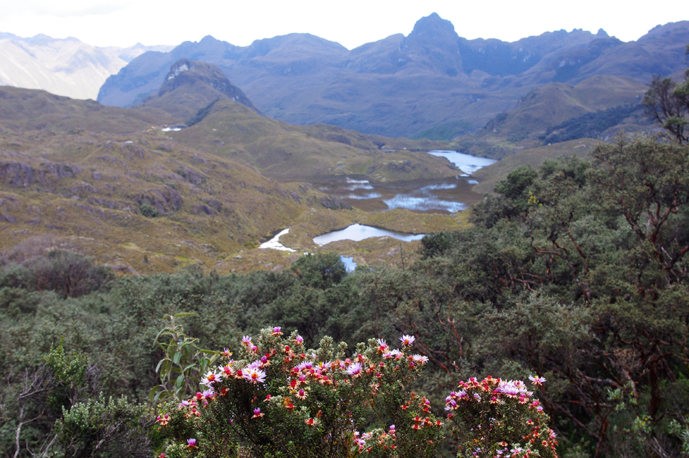 View of Cajas National Park