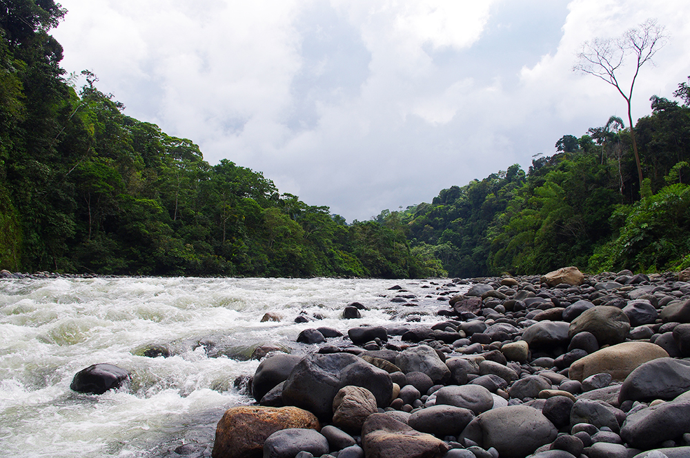 River near the rainforest town of Tena