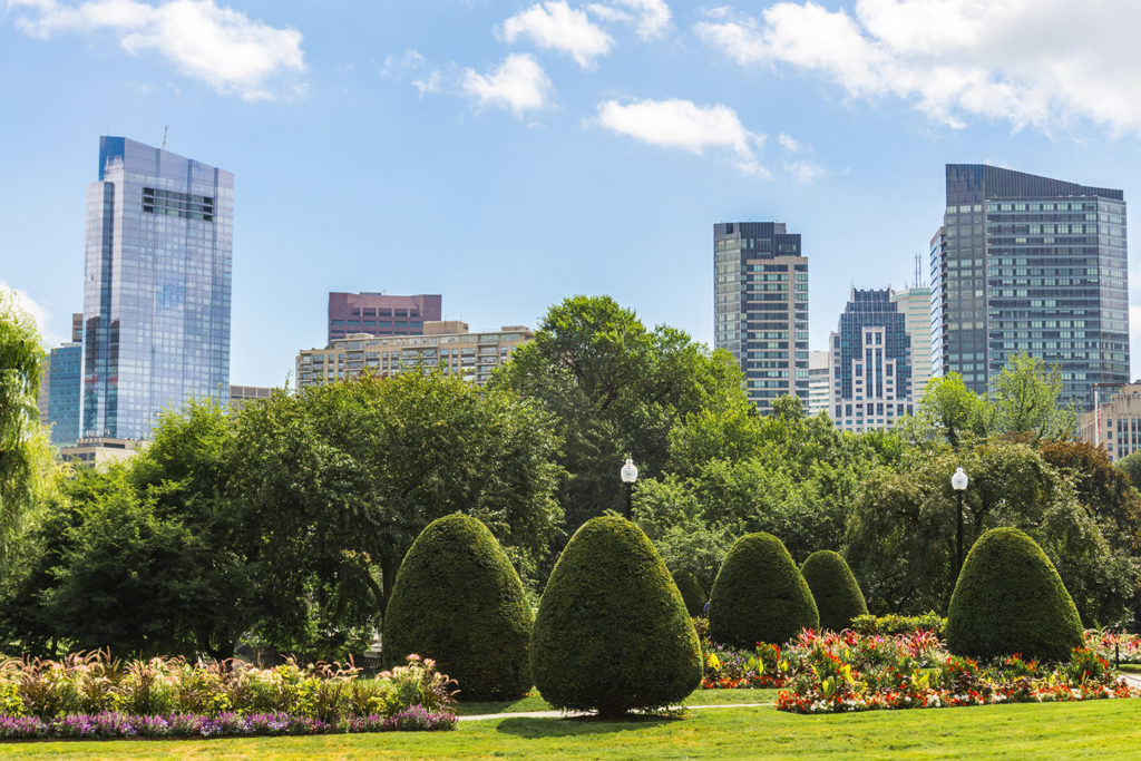 Explore Boston Common and Public Garden 