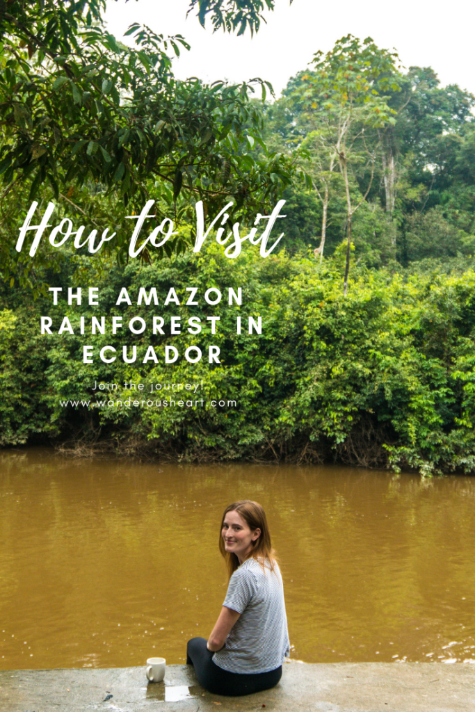 How to Visit the Amazon rainforest