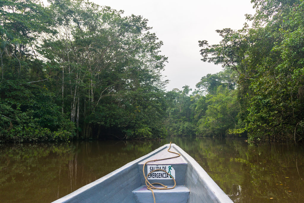 Boat in the Amazon Rainforest in Ecuador