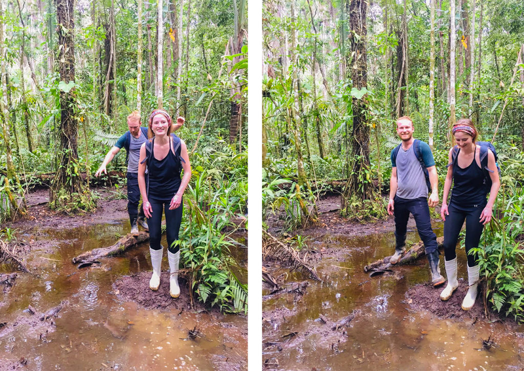 Walking through the swamps in the Rainforest