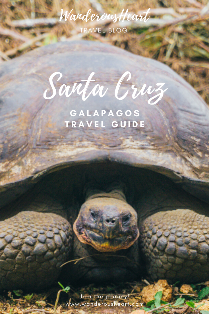 A Guide to Visiting Santa Cruz Galapagos - Wanderous Heart